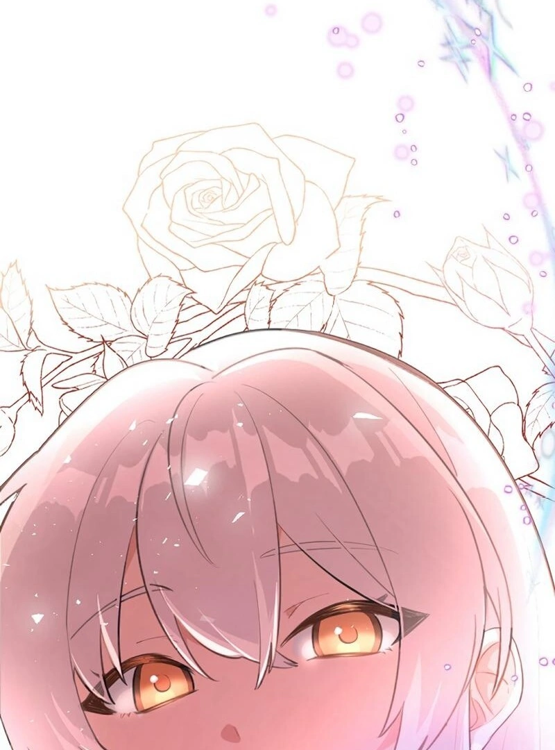 67007924 800 1080 116438